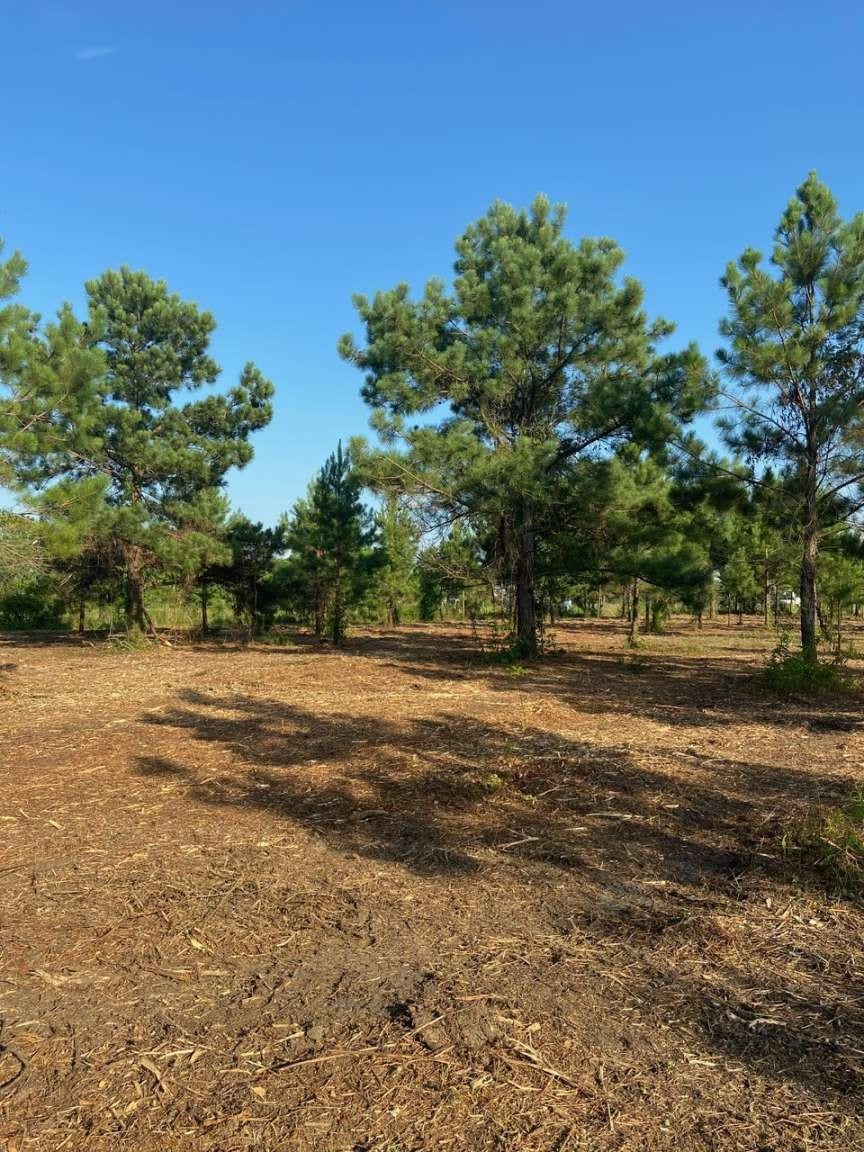 5510 County Road 602, Dayton, TX 77535 5510 County Road 602, Dayton, TX 77535