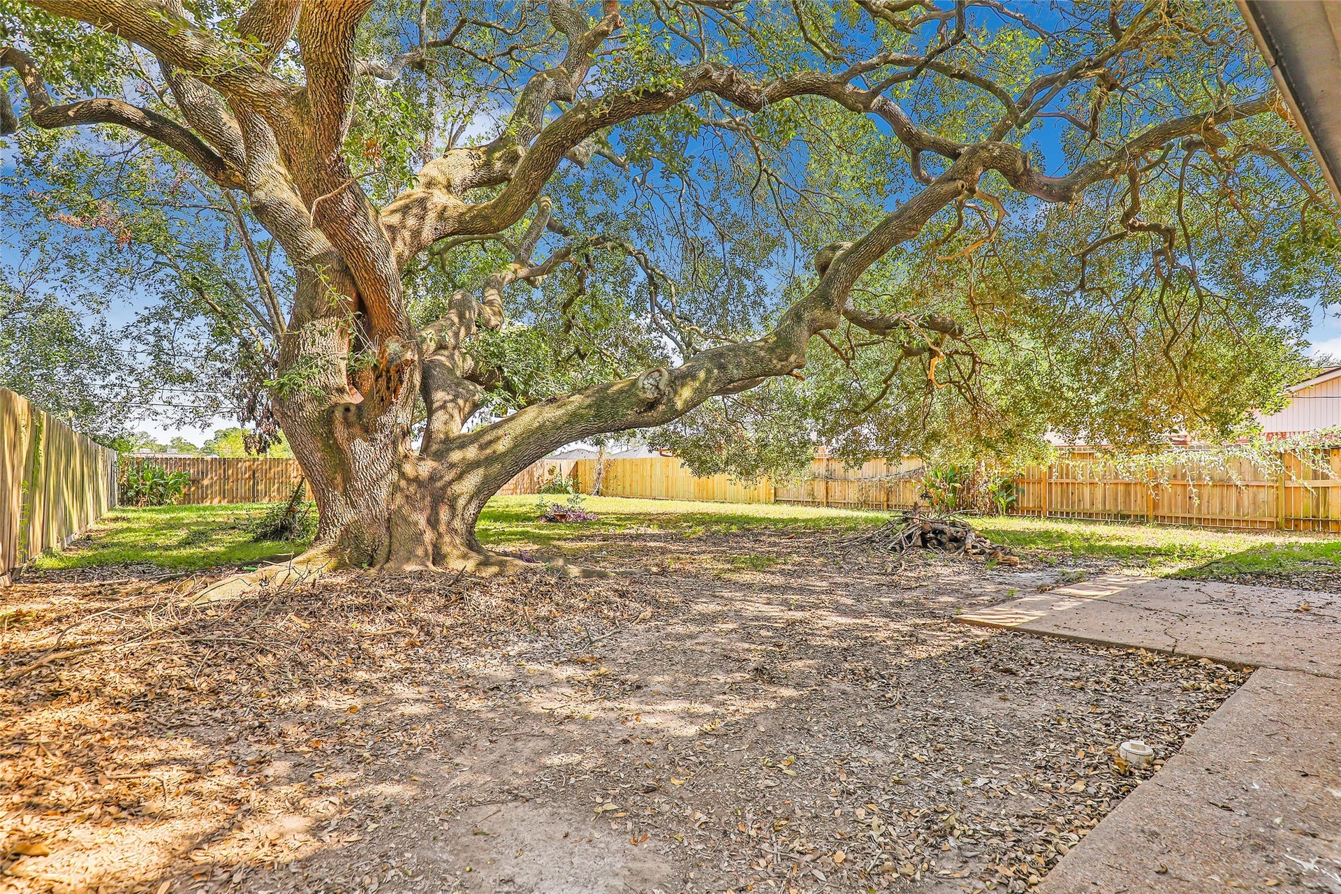 603 Sharon Drive, Humble, TX 77338 603 Sharon Drive, Humble, TX 77338