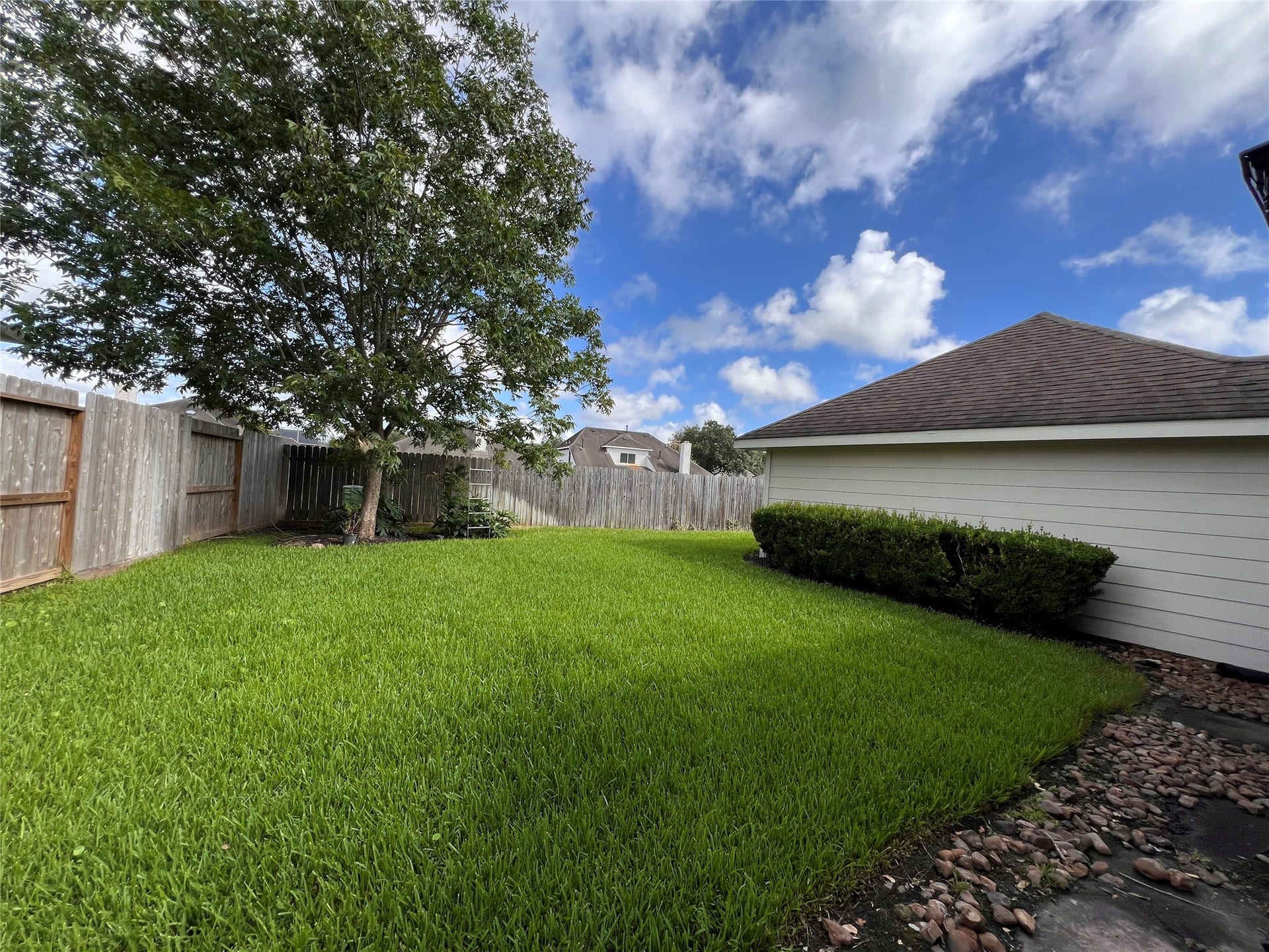 908 Azalea Pointe, League City, TX 77573 A serene backyard retreat features lush green grass, a majestic tree, and a charming fence, offering privacy and tranquility.