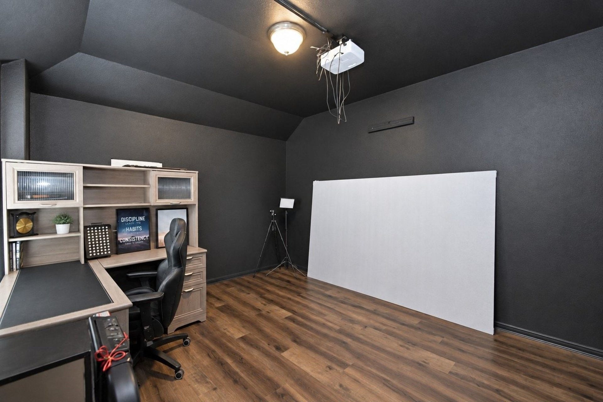 painted perfectly for a media room