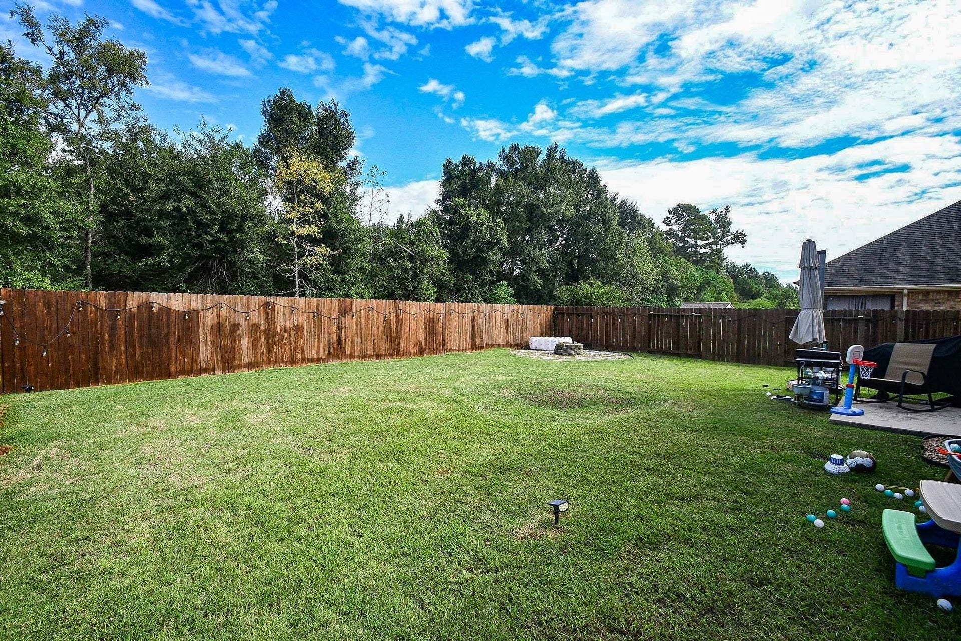 22429 Pomina Street, Porter, TX 77365