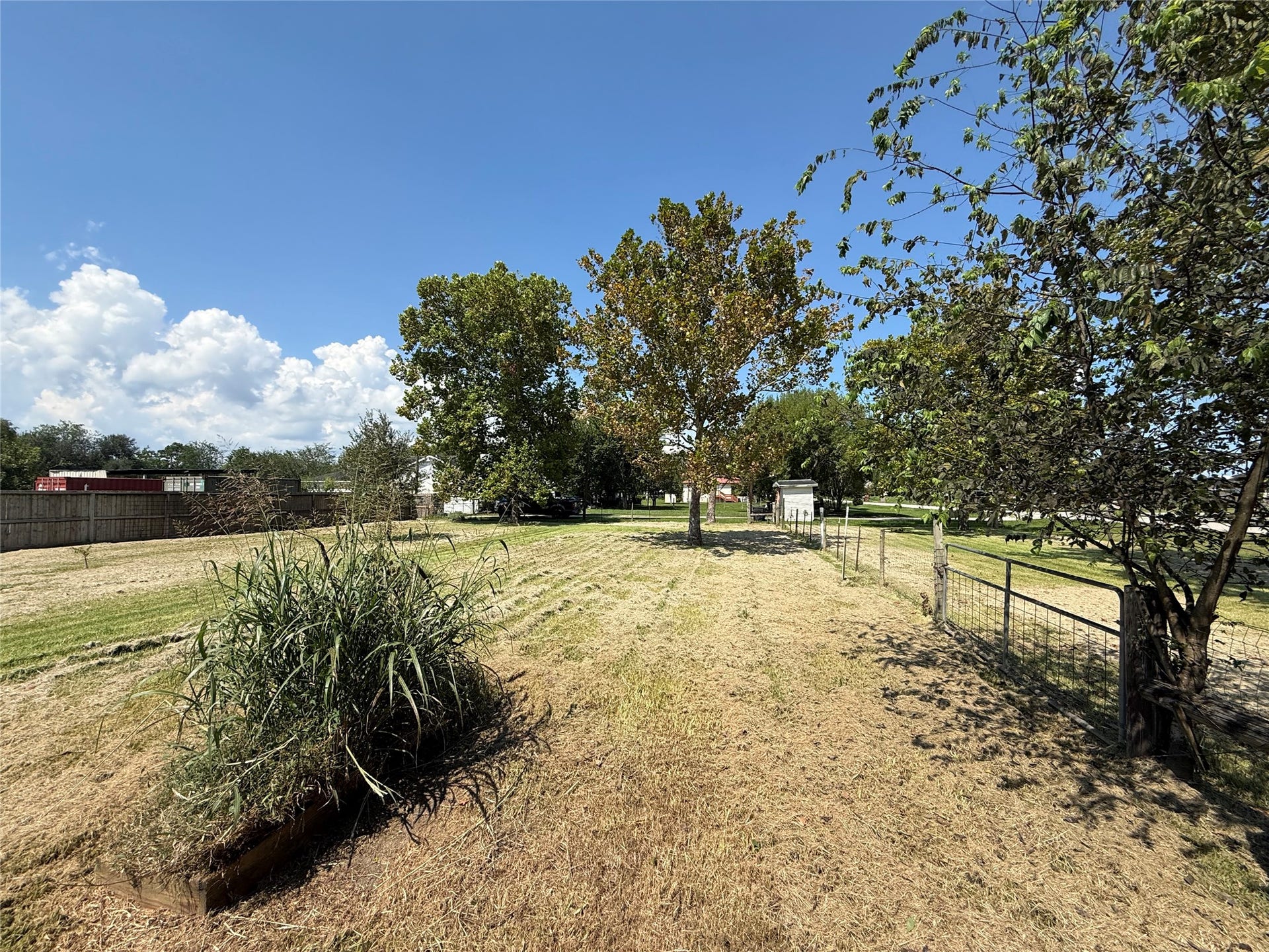 2524 Shouse Road, Santa Fe, TX 77510 Expansive lawn with mature trees and established landscaping.