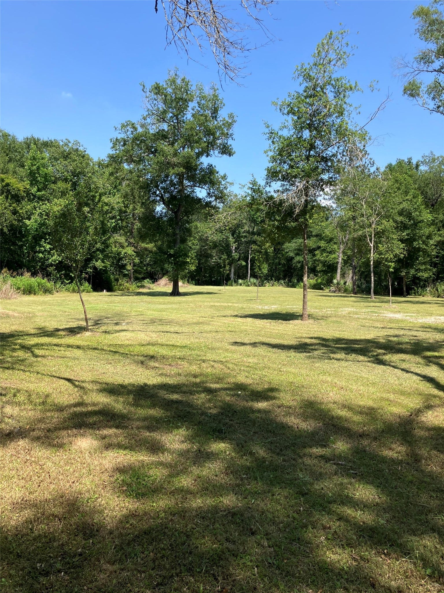 20206 Shady Lane, Crosby, TX 77532 20206 Shady Lane, Crosby, TX 77532
