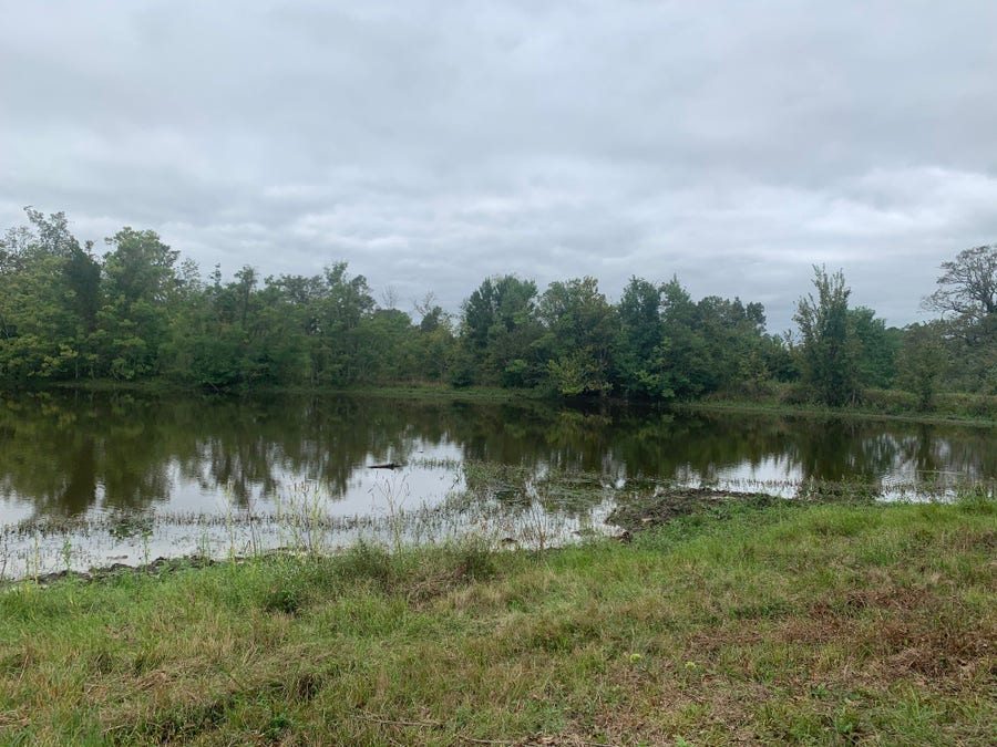Property photo for 25572 Johnson Road, Montgomery, TX