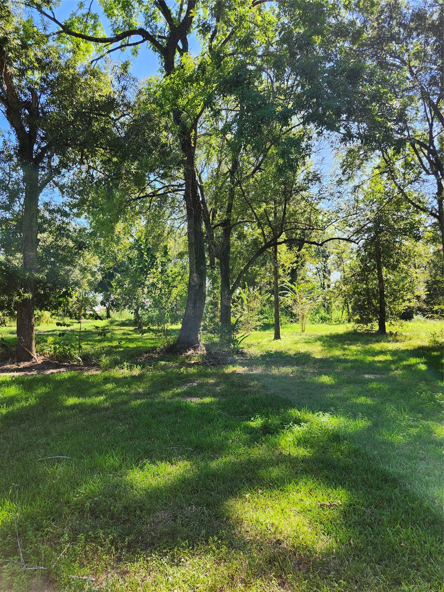 Lot 244 Holly Street, Porter, TX 77365 Lot 244 Holly Street, Porter, TX 77365
