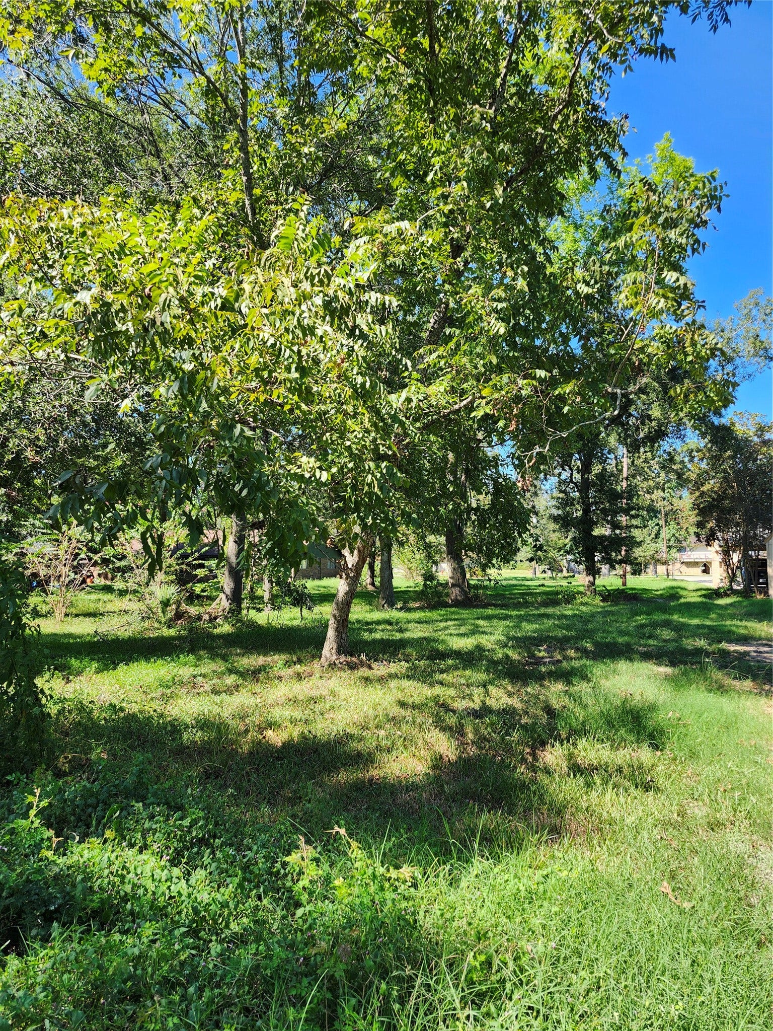 Lot 244 Holly Street, Porter, TX 77365 Lot 244 Holly Street, Porter, TX 77365