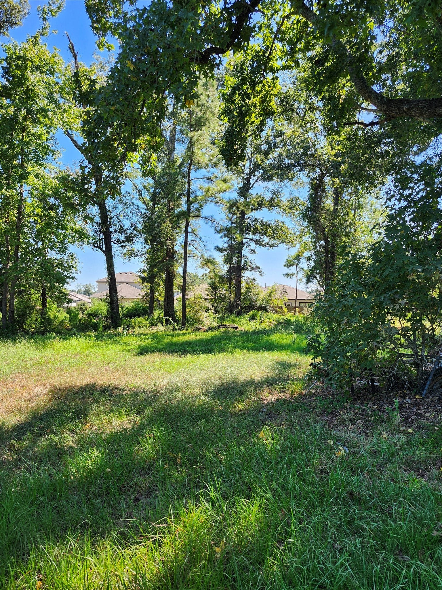 Lot 244 Holly Street, Porter, TX 77365 Lot 244 Holly Street, Porter, TX 77365