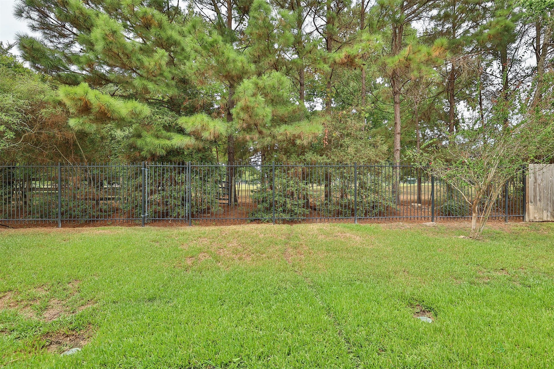 10722 Sir Alex Drive, Tomball, TX 77375 10722 Sir Alex Drive, Tomball, TX 77375