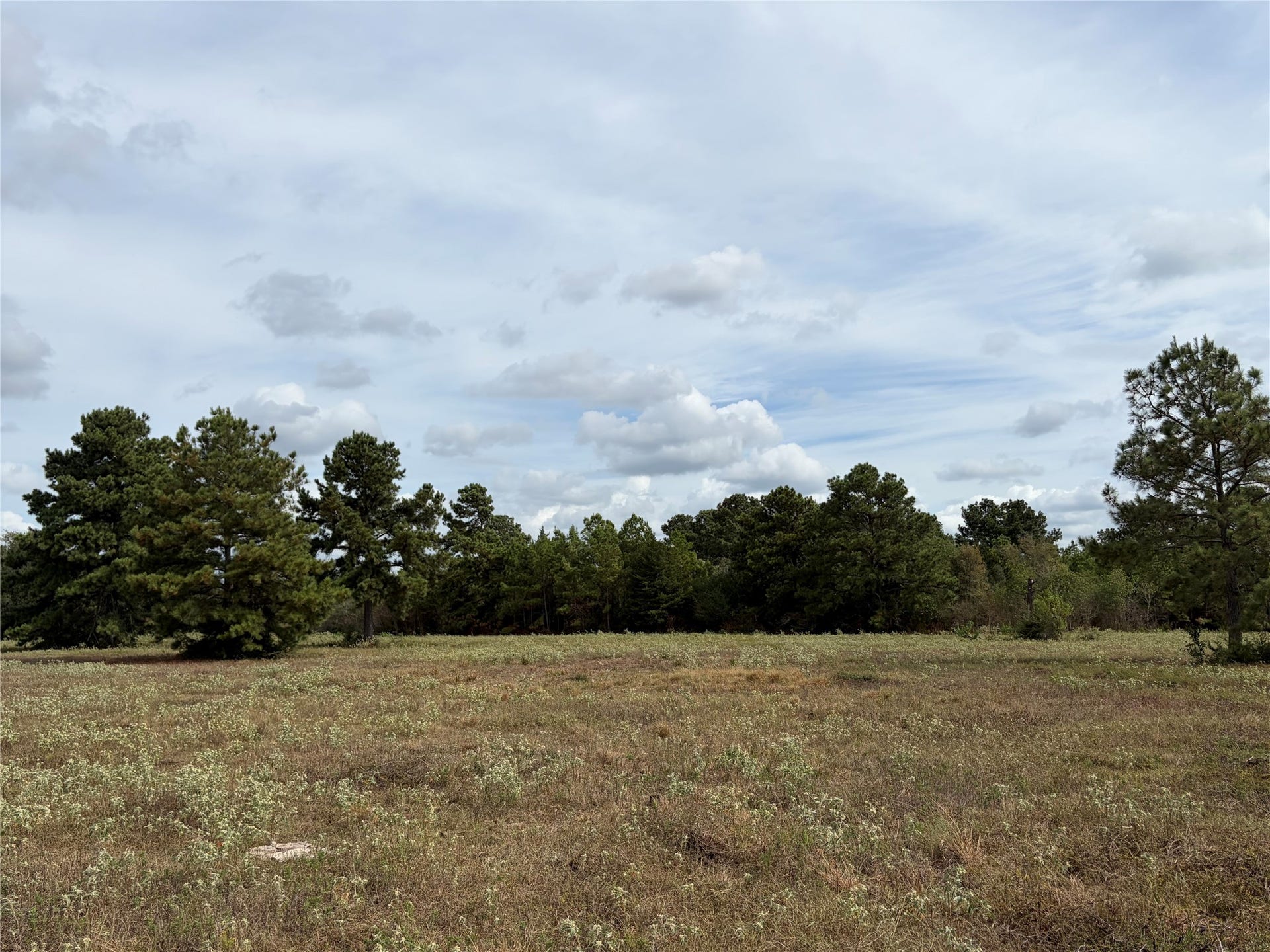 33450 Howell Road, Waller, TX 77484 33450 Howell Road, Waller, TX 77484