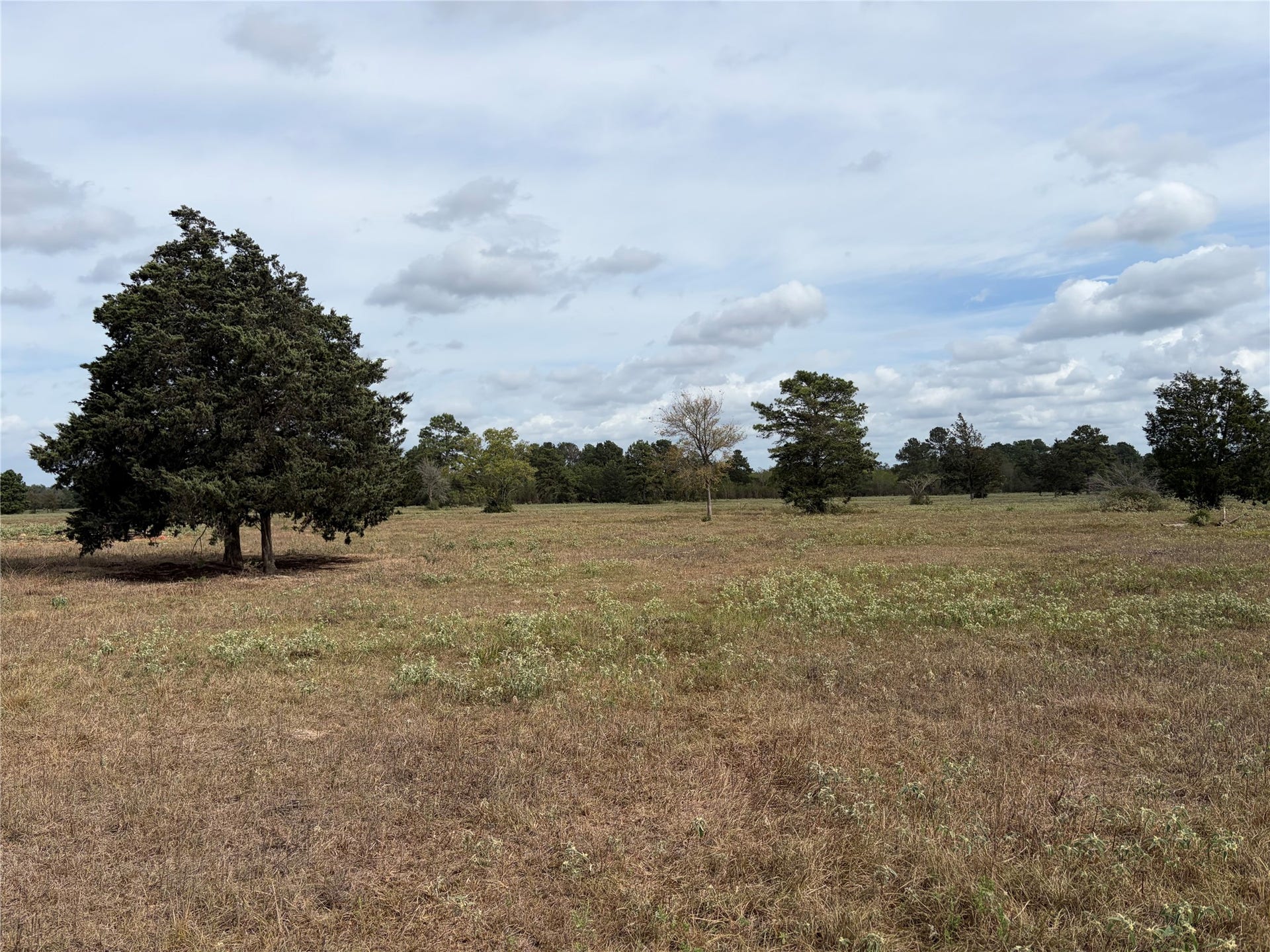 33450 Howell Road, Waller, TX 77484 33450 Howell Road, Waller, TX 77484