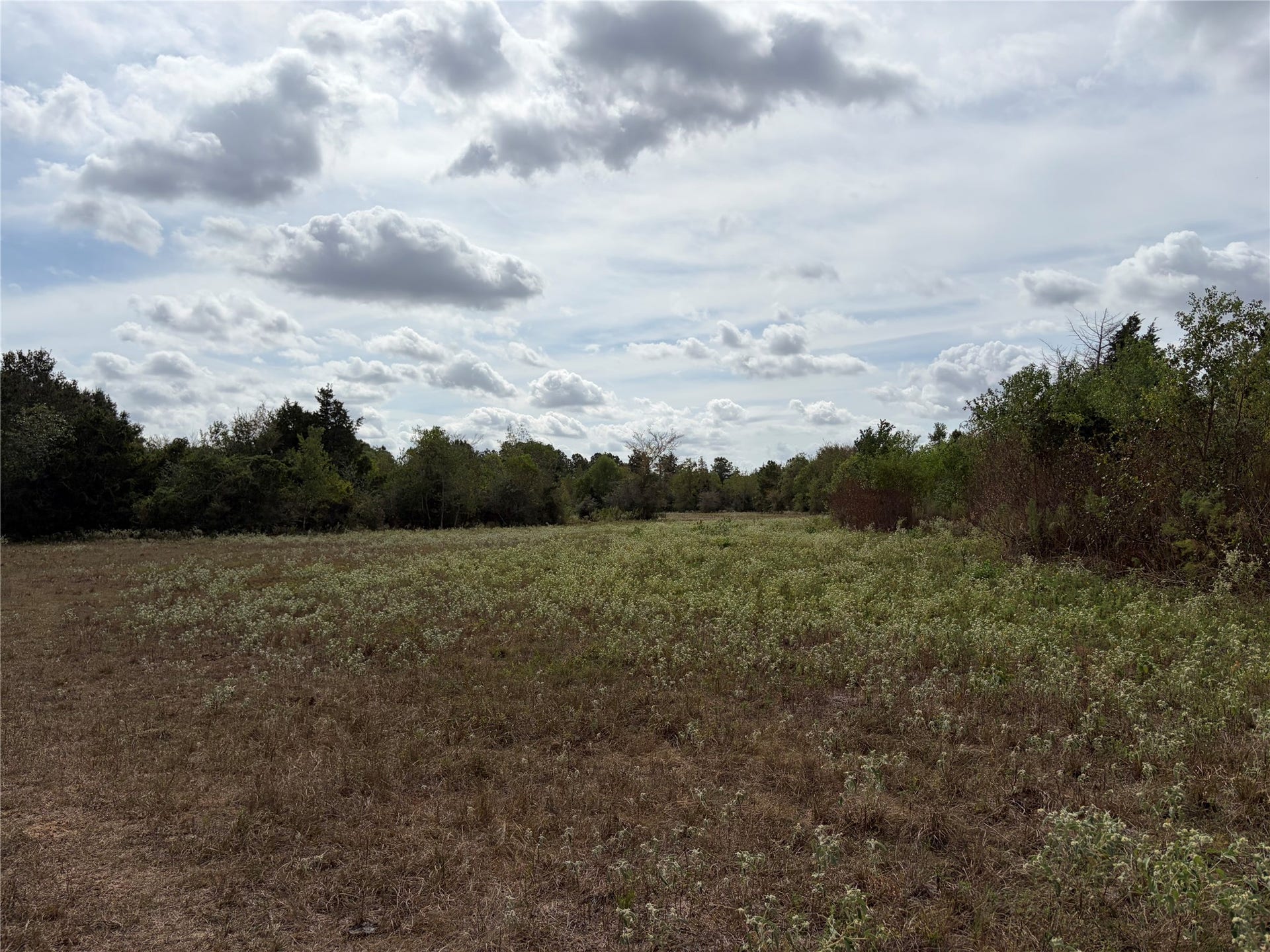 33450 Howell Road, Waller, TX 77484 Several wooded areas