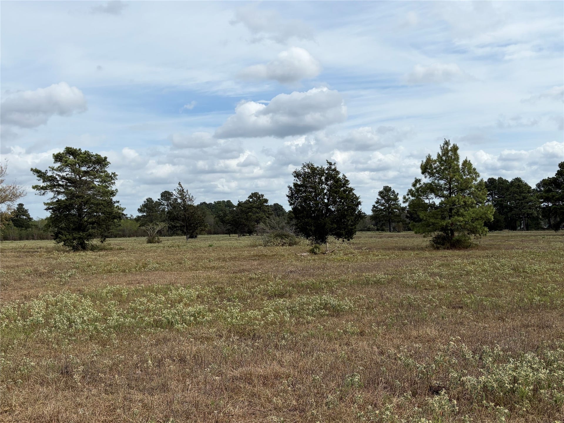 33450 Howell Road, Waller, TX 77484 33450 Howell Road, Waller, TX 77484