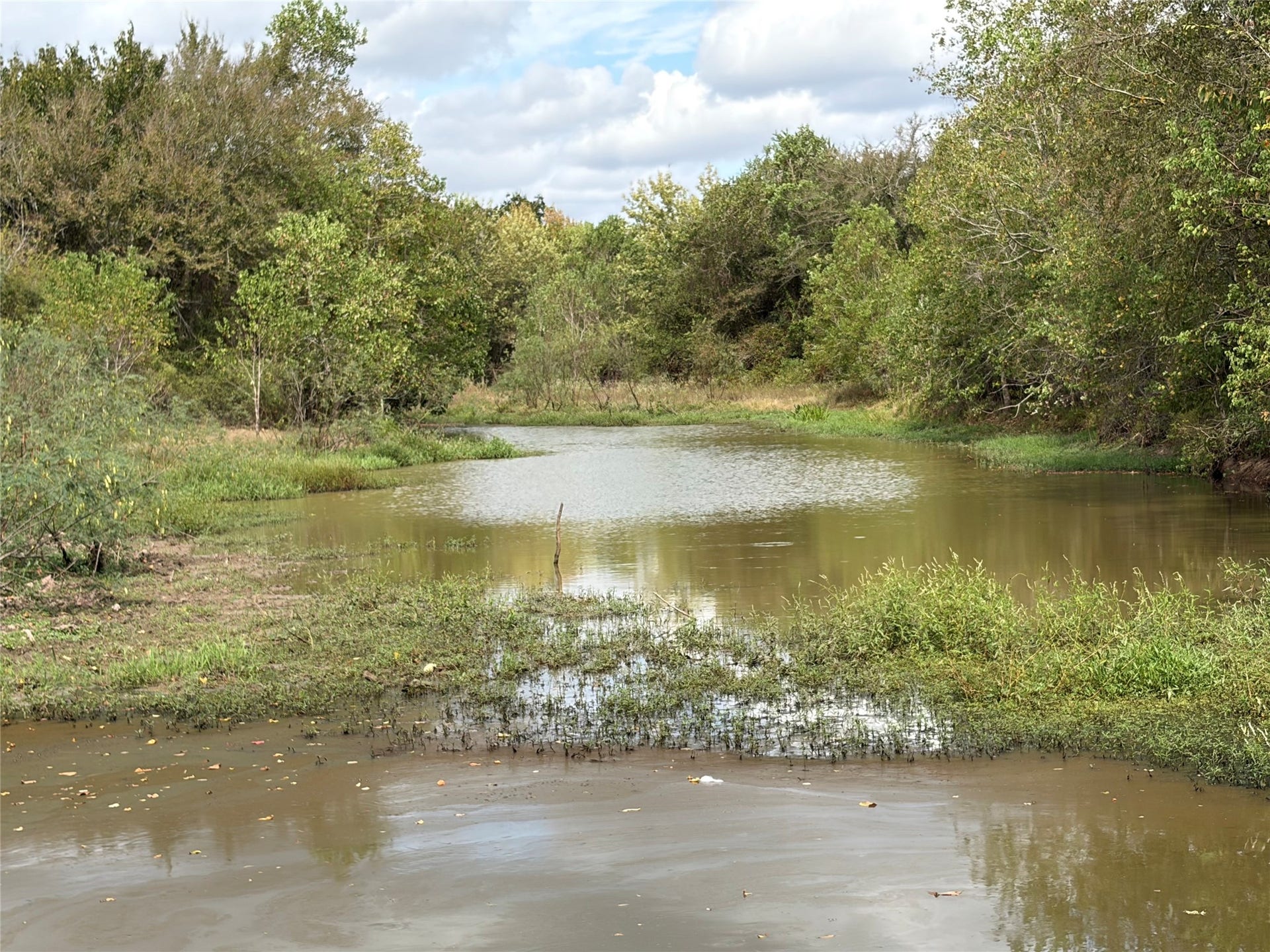 33450 Howell Road, Waller, TX 77484 Trails through woods lead to pond in Northeast corner