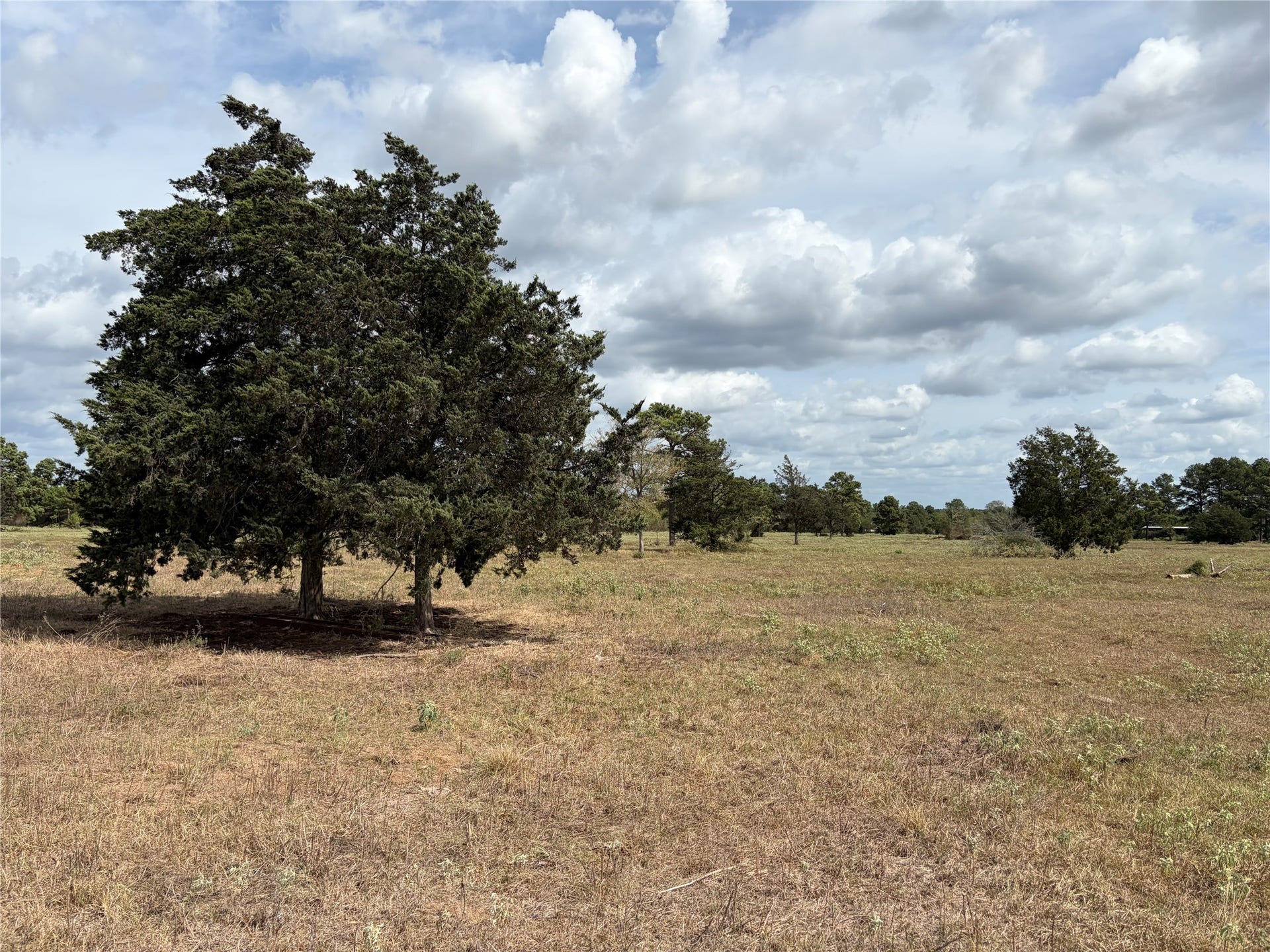 33450 Howell Road, Waller, TX 77484 33450 Howell Road, Waller, TX 77484