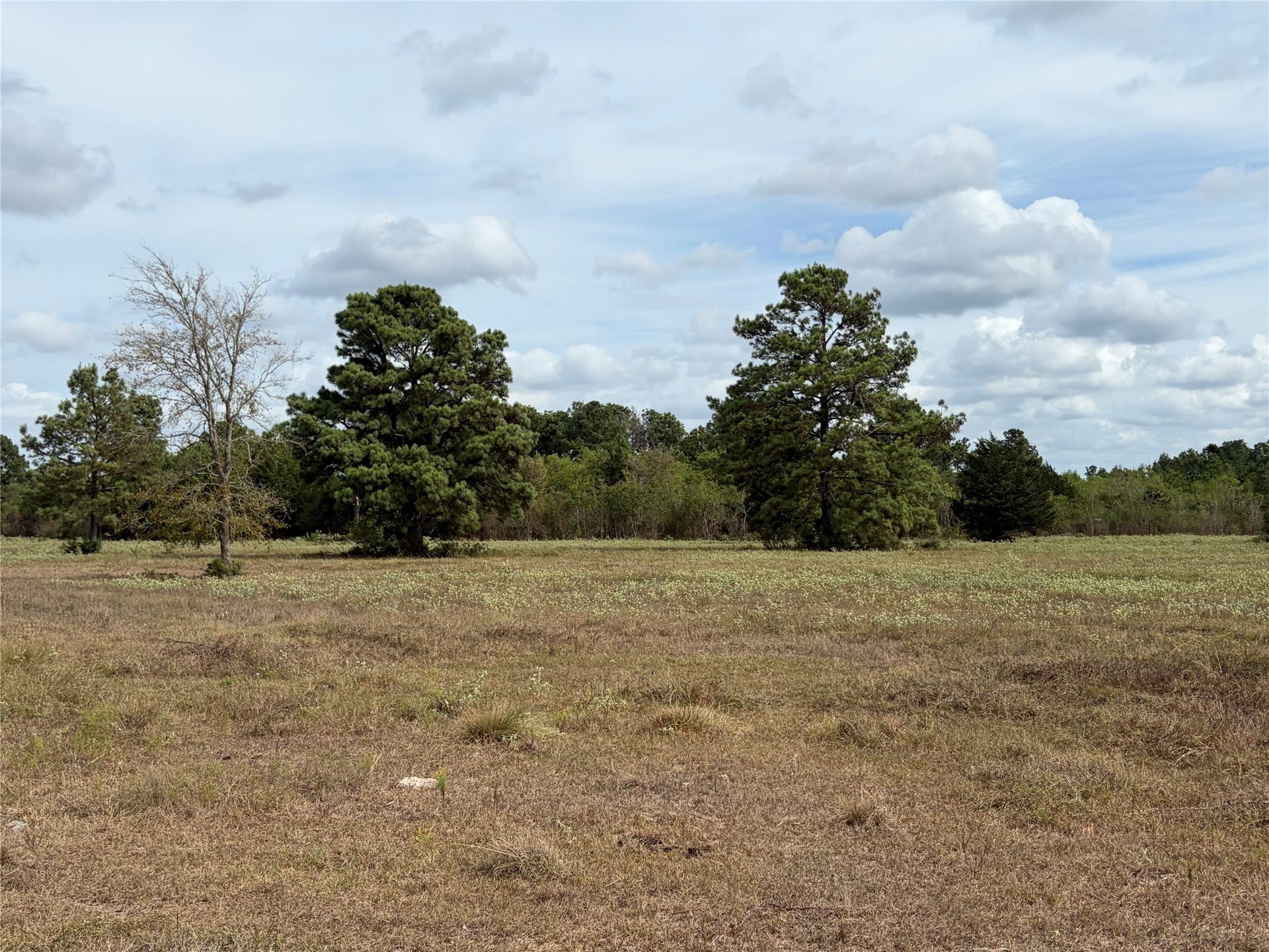 33450 Howell Road, Waller, TX 77484 33450 Howell Road, Waller, TX 77484