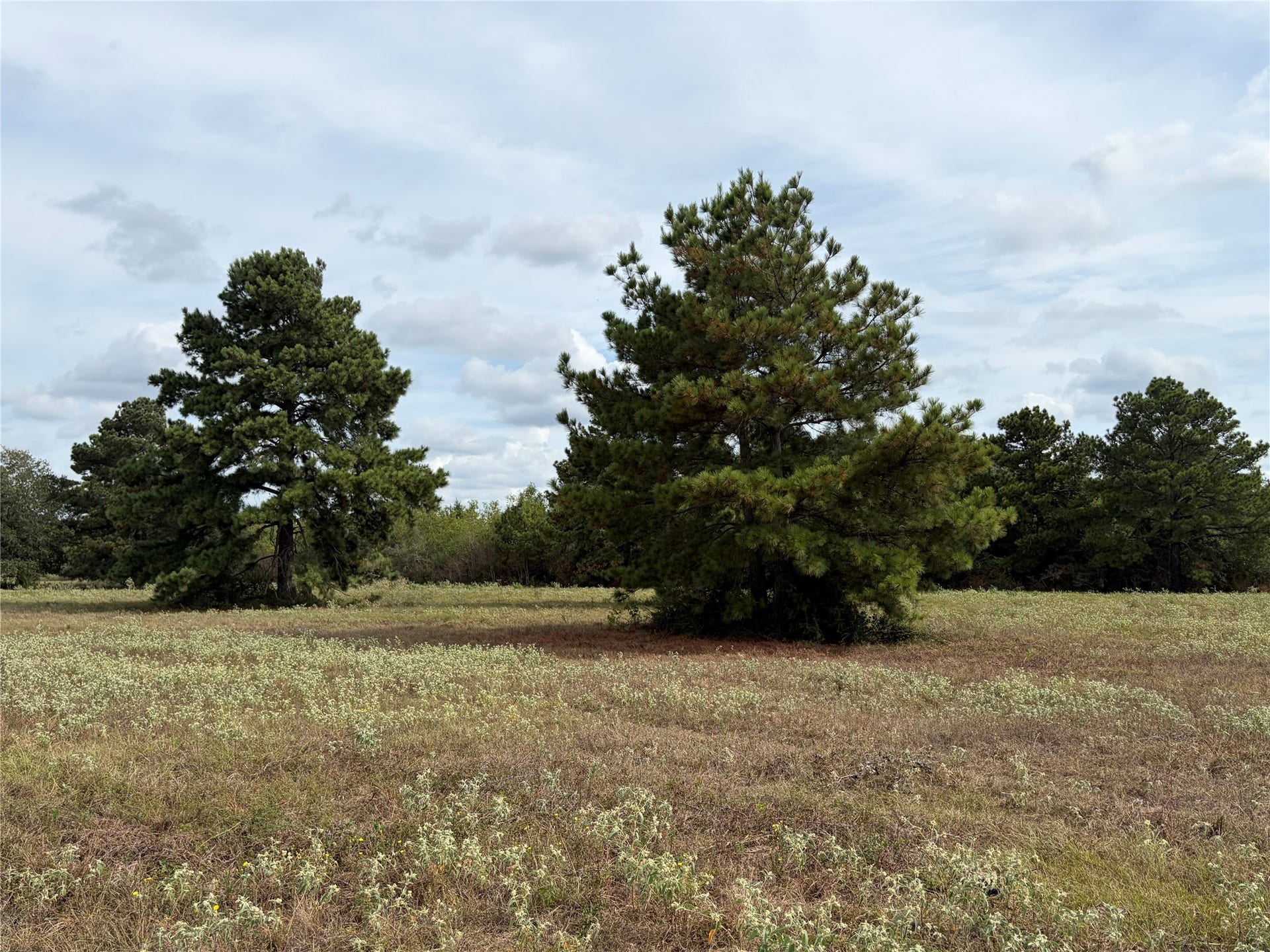 33450 Howell Road, Waller, TX 77484 33450 Howell Road, Waller, TX 77484