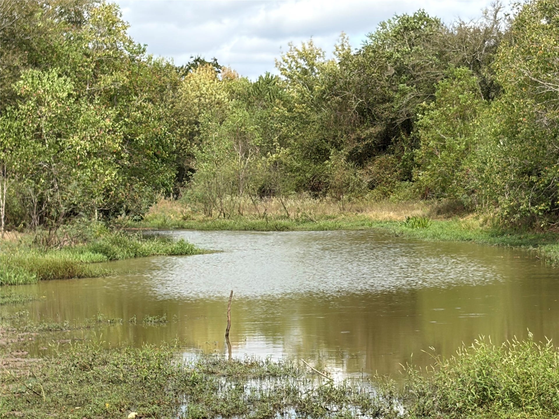 33450 Howell Road, Waller, TX 77484 Large pond in wet weather creek