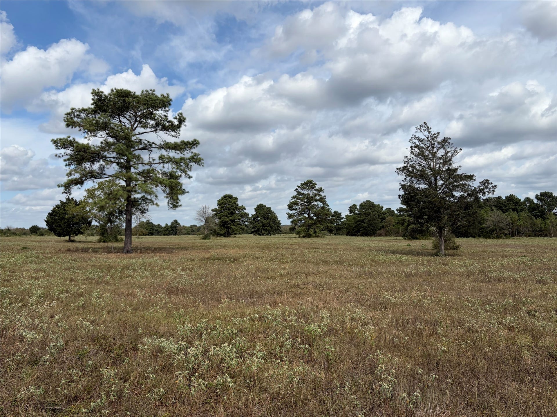 33450 Howell Road, Waller, TX 77484 33450 Howell Road, Waller, TX 77484