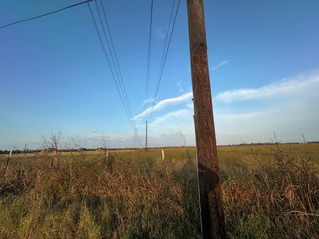 25 ACRES COUNTY ROAD 45, Angleton, TX 77515 25 ACRES COUNTY ROAD 45, Angleton, TX 77515