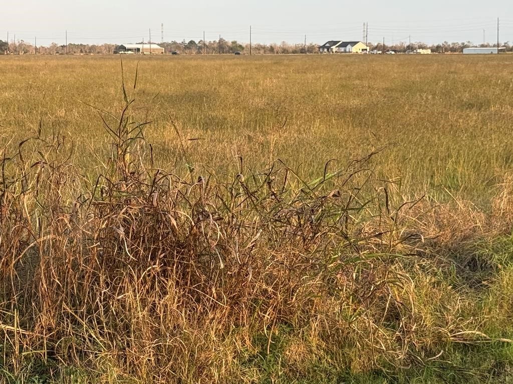 25 ACRES COUNTY ROAD 45, Angleton, TX 77515 25 ACRES COUNTY ROAD 45, Angleton, TX 77515