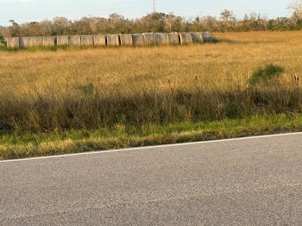 25 ACRES COUNTY ROAD 45, Angleton, TX 77515 25 ACRES COUNTY ROAD 45, Angleton, TX 77515