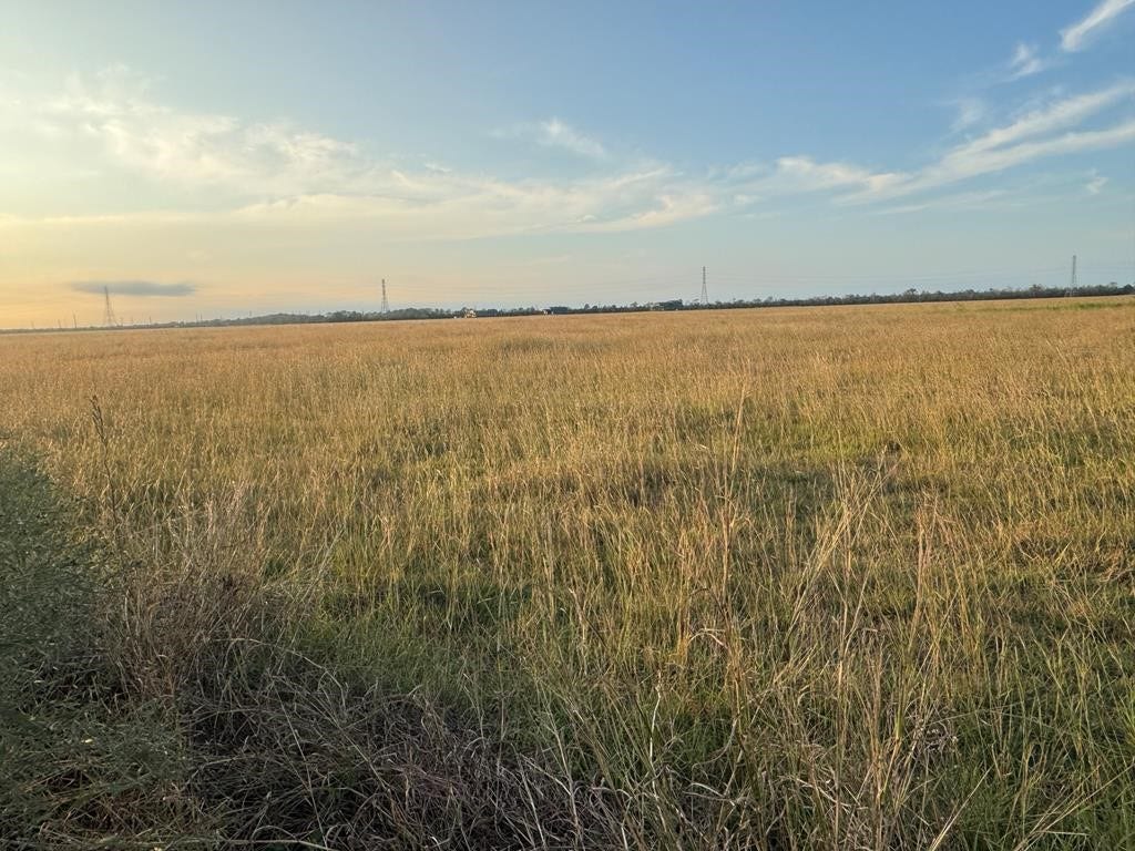 25 ACRES COUNTY ROAD 45, Angleton, TX 77515 25 ACRES COUNTY ROAD 45, Angleton, TX 77515