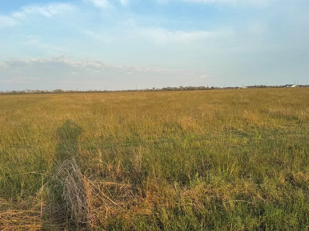 25 ACRES COUNTY ROAD 45, Angleton, TX 77515 25 ACRES COUNTY ROAD 45, Angleton, TX 77515