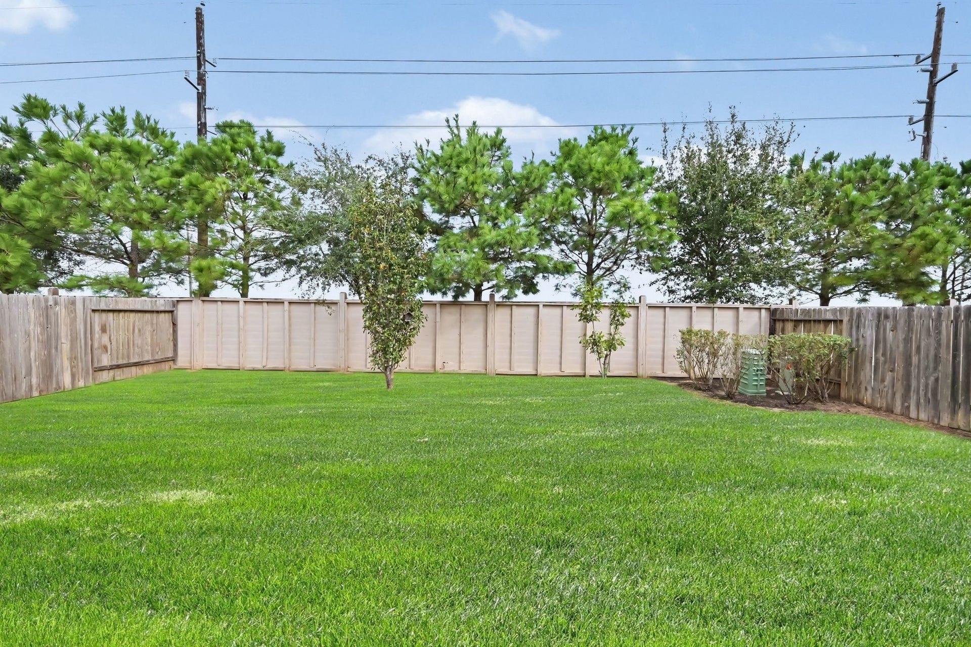 949 Texas Timbers Drive, Katy, TX 77493 Fully fenced backyard and the privacy of no rear neighbors