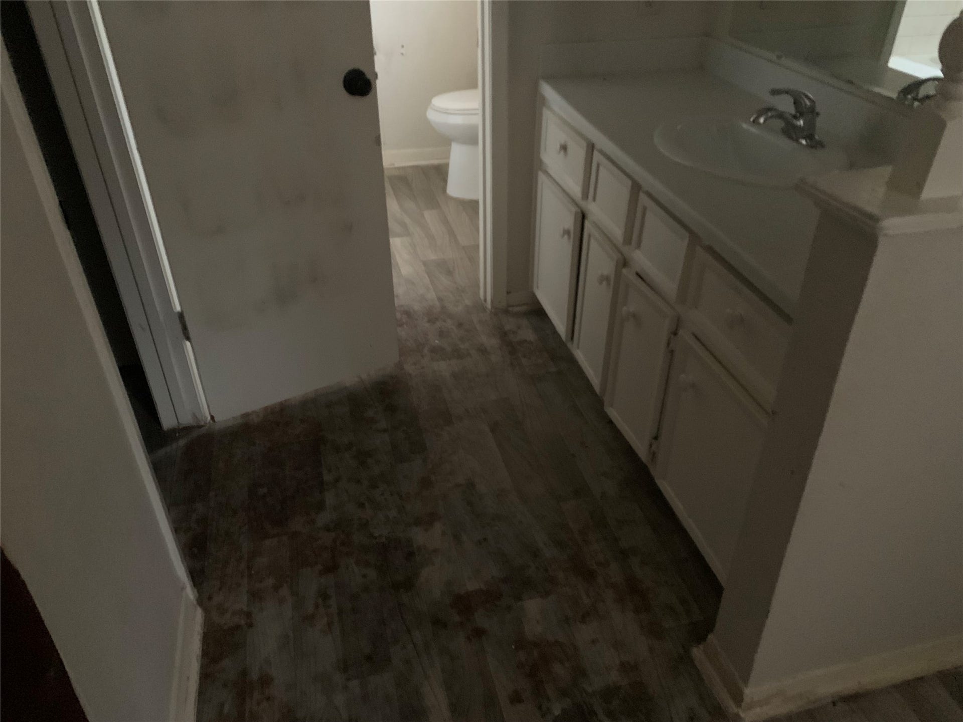 23830 English Oak Drive, Spring, TX 77373 Primary Bath vanity and closet entry