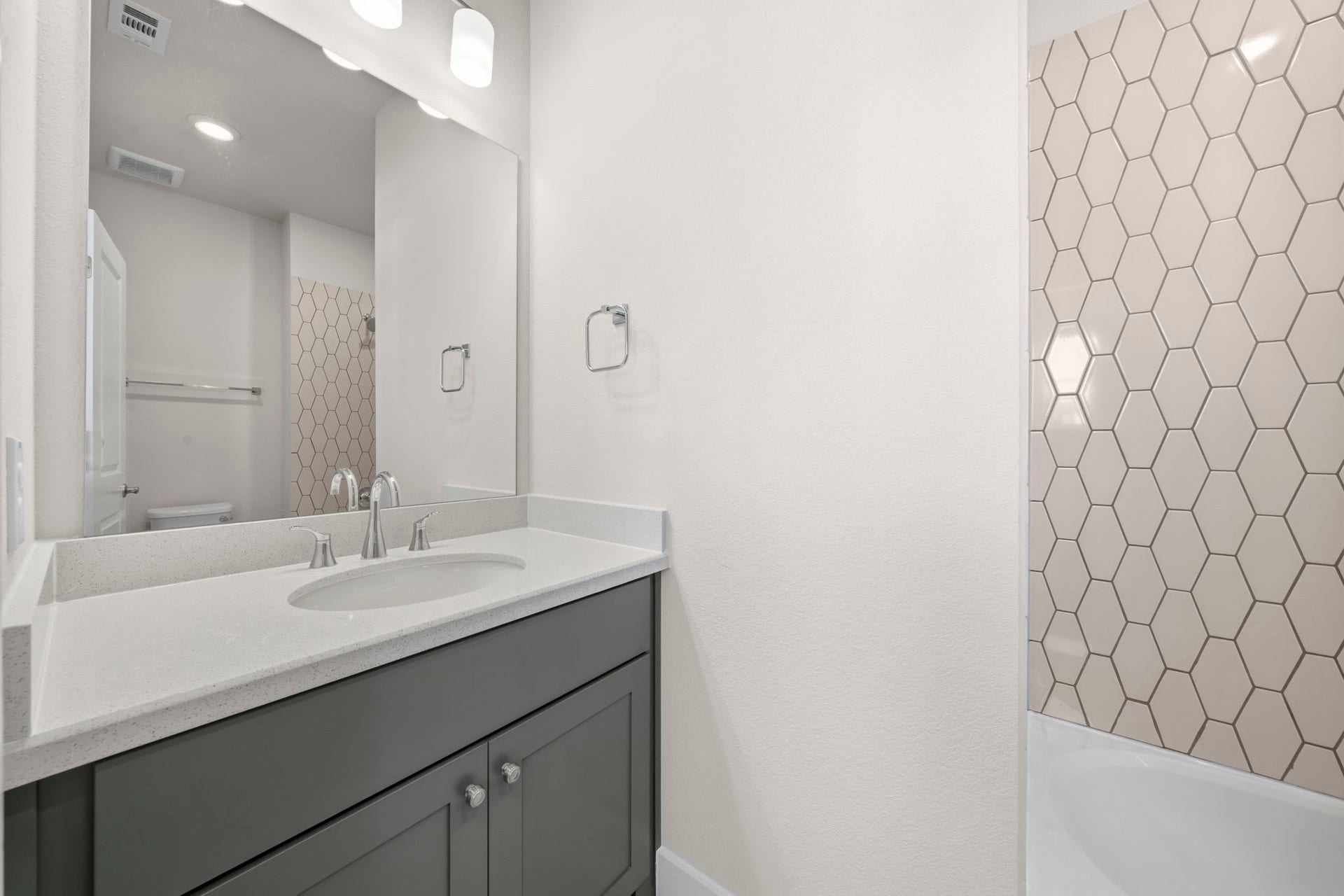 2010 Pine Woodland Lane, Manvel, TX 77583