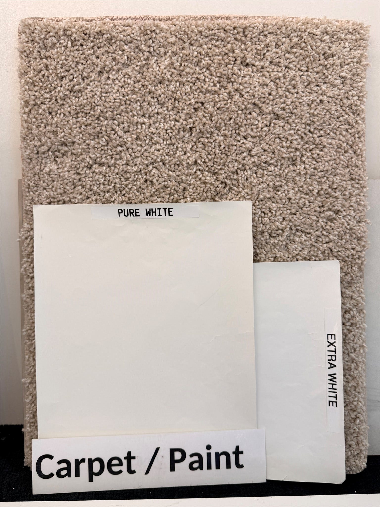 7114 Quaker Meadows Drive, Katy, TX 77493 Carpet and paint selections.