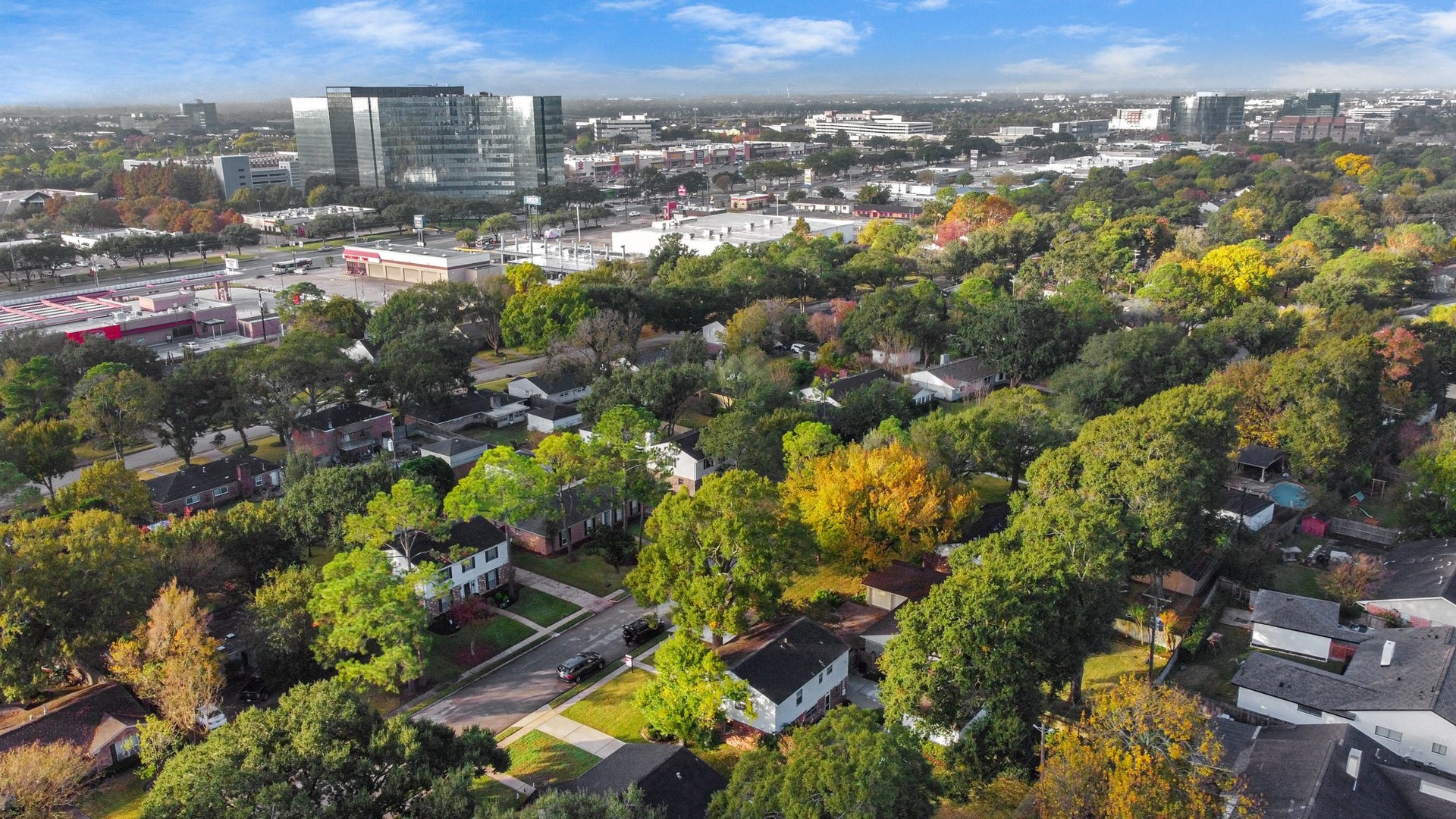 Lots of trees in this neighborhood