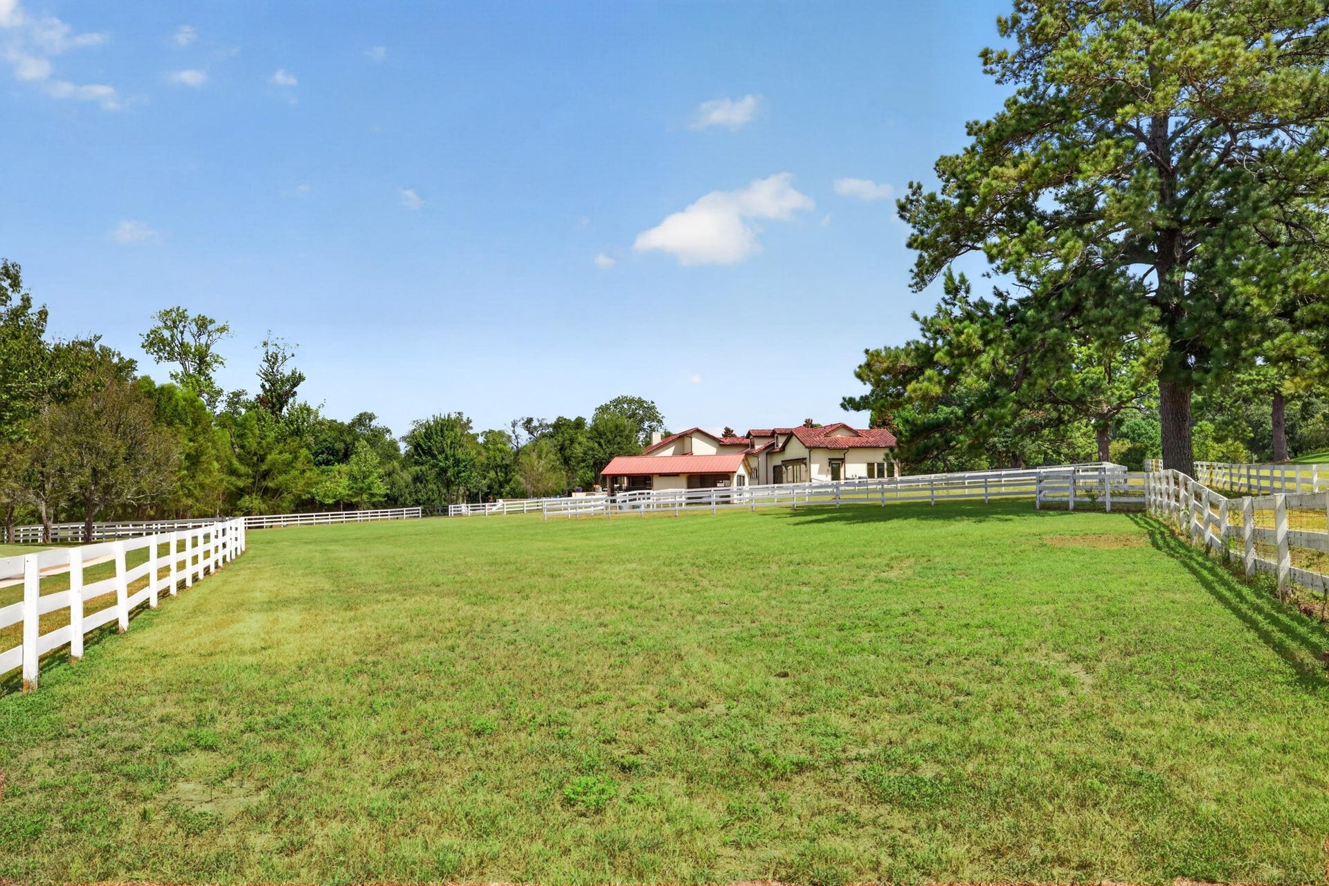 24005 Old Dobbin Plantersville Road, Montgomery, TX 77316 Fenced paddocks and open pasture bring horses, family and the land into one daily rhythm.