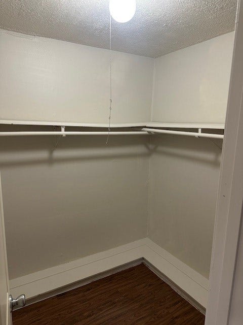 25419 Fairbrook Lane, Spring, TX 77373 spacious primary closet