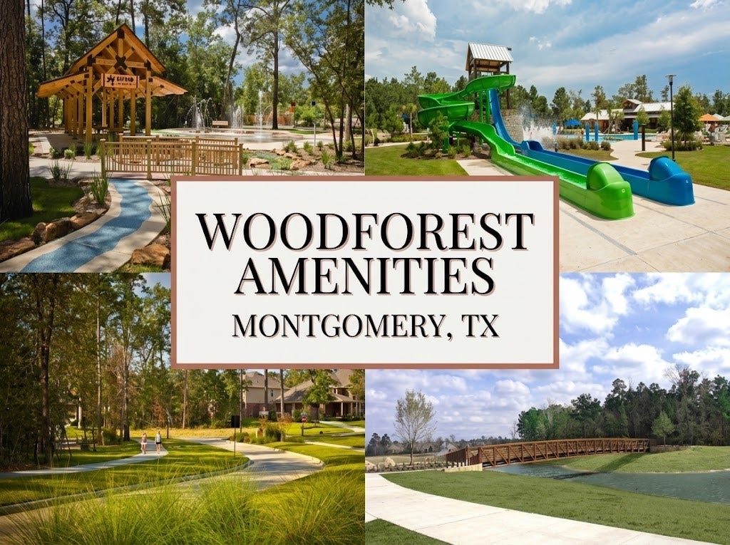 115 Red Eagle Court, Montgomery, TX 77316