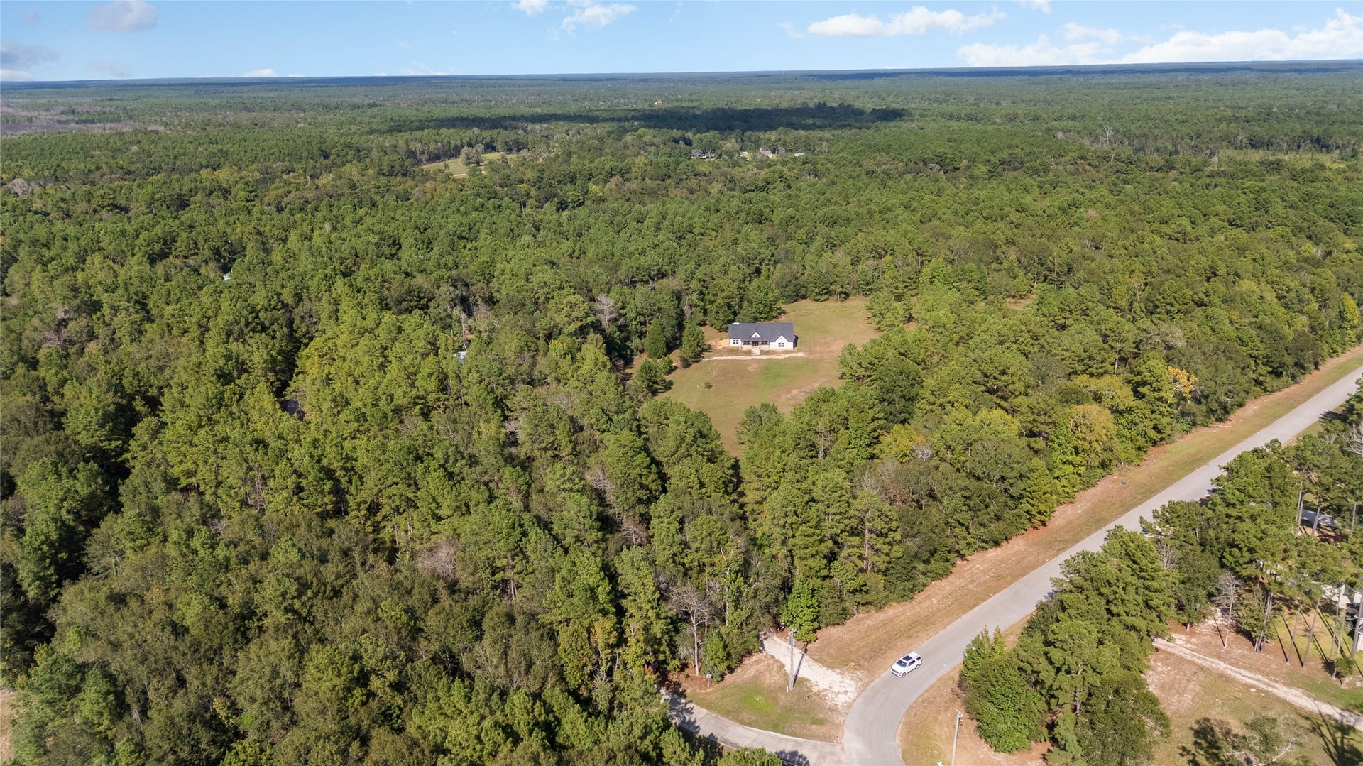 21203 Peach Wood Court, Cleveland, TX 77328 21203 Peach Wood Court, Cleveland, TX 77328