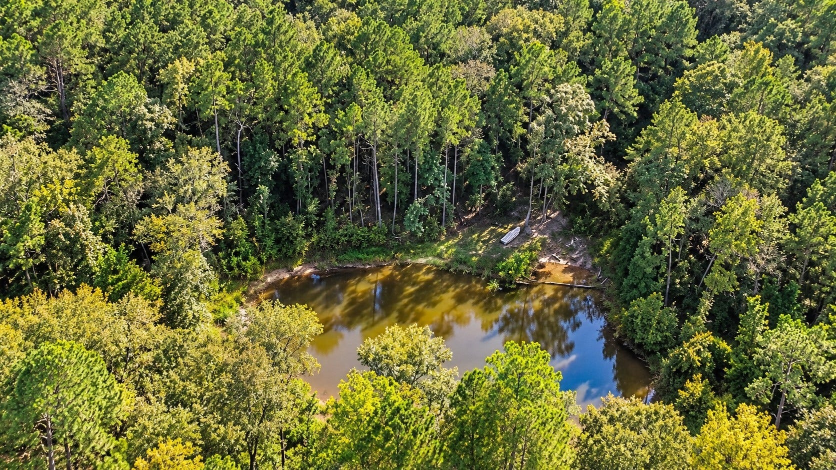 21203 Peach Wood Court, Cleveland, TX 77328 Private stocked pond
