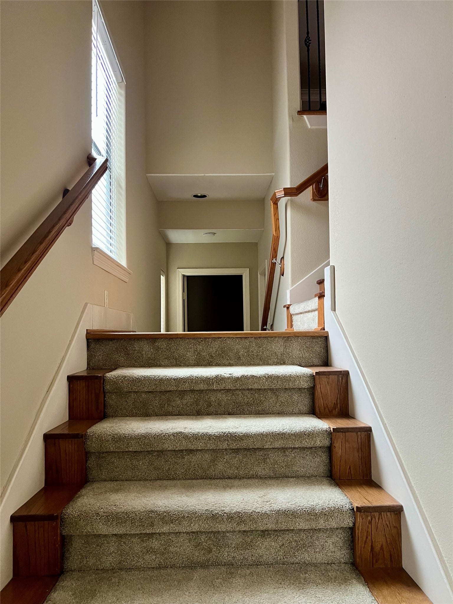 1625 Cohn Street, Houston, TX 77007 A carpeted staircase with wooden accents leads to an upper floor. The walls are painted in a neutral tone, and there is a window on the left side allowing natural light. The design is simple and clean, offering a welcoming transition between floors.