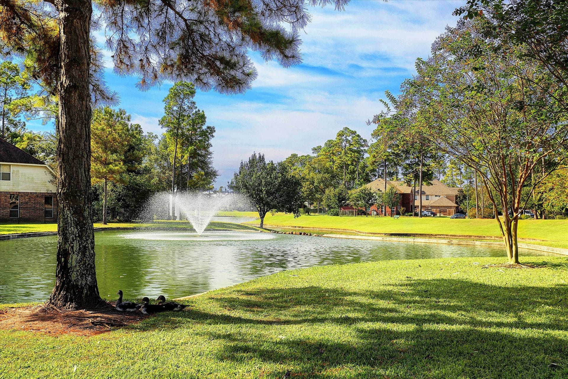 14407 Spanish River Lane, Cypress, TX 77429 Meet some of the neighborhood's most charming residents! With several duck residents throughout Northlake Forest, there's always an opportunity to enjoy the wildlife, peaceful water views, and natural beauty that make this community special.