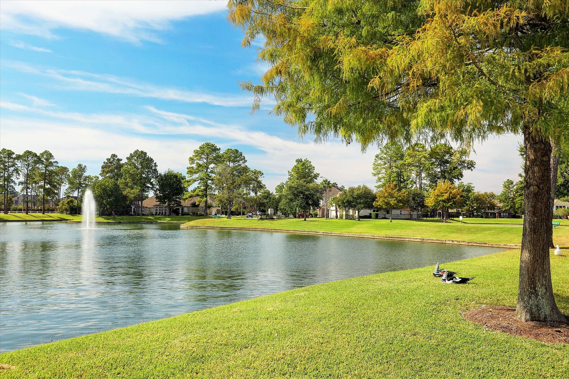 14407 Spanish River Lane, Cypress, TX 77429 Imagine starting your morning with a peaceful stroll past one of Northlake Forest's picturesque duck ponds. With sparkling fountains, mature trees, and plenty of green space, there's beauty to enjoy around every corner.