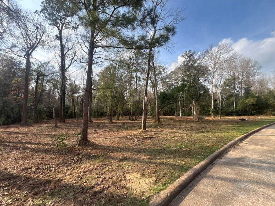 Property photo for 1746 Woodway Drive, Woodbranch, TX