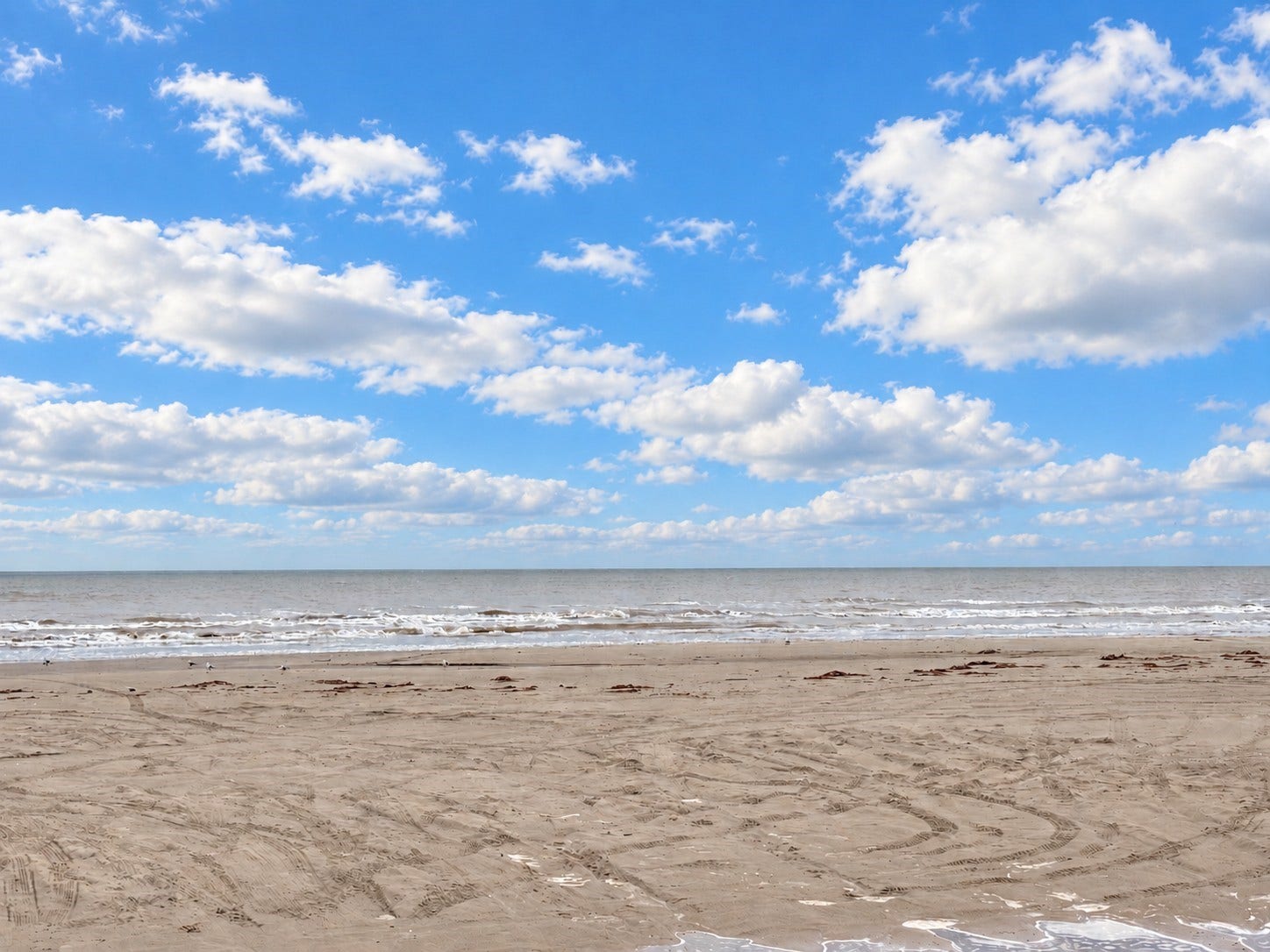 23111 Miramar Circle, Galveston, TX 77554 23111 Miramar Circle, Galveston, TX 77554