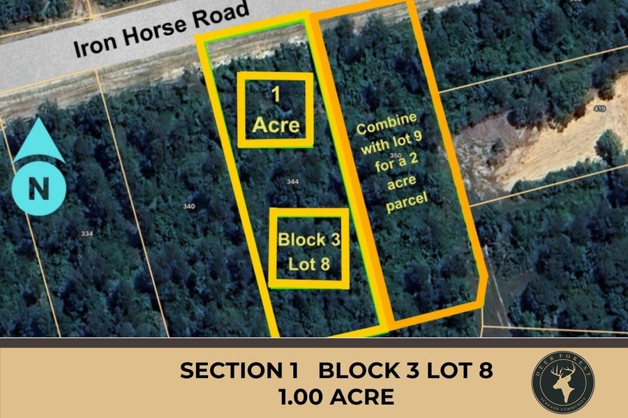 Property photo for 344 Iron Horse Road, Willis, TX