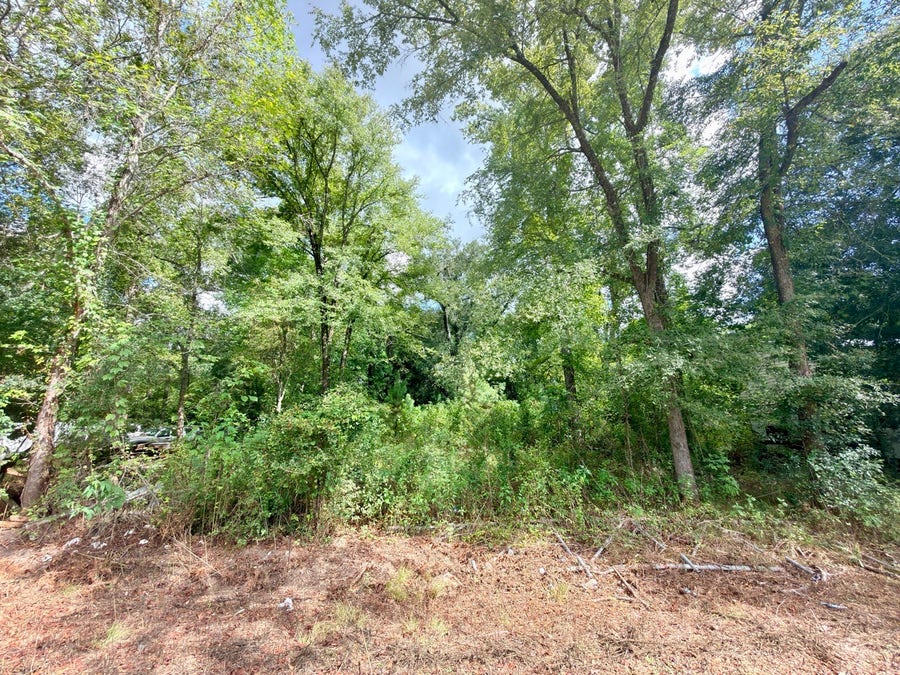 Property photo for 10839 River Dr, Houston, TX