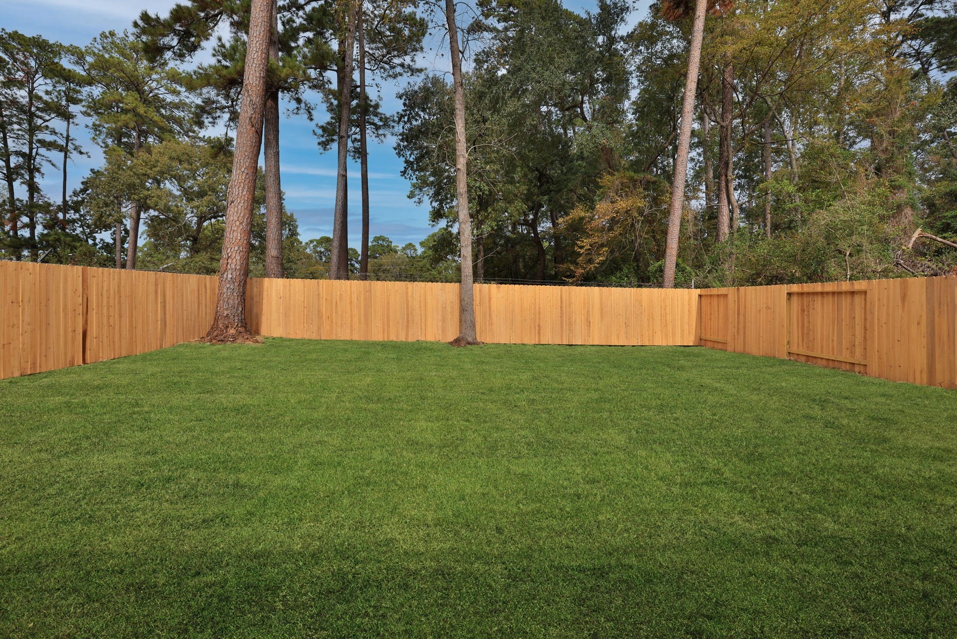 529 Mohawk Bend, Conroe, TX 77316 Large fully fenced private backyard