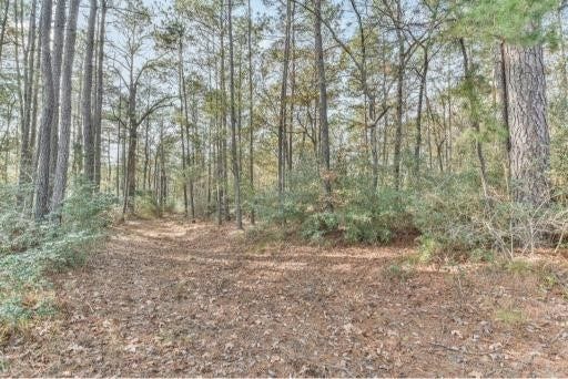 Property photo for 16400 E Fm 1097 Road, Willis, TX