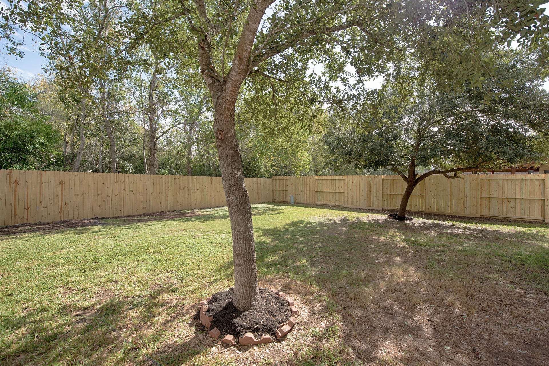 106 Easton Glen Lane, Dickinson, TX 77539 Very spacious backyard for outdoor fun for the kids and the family dog.