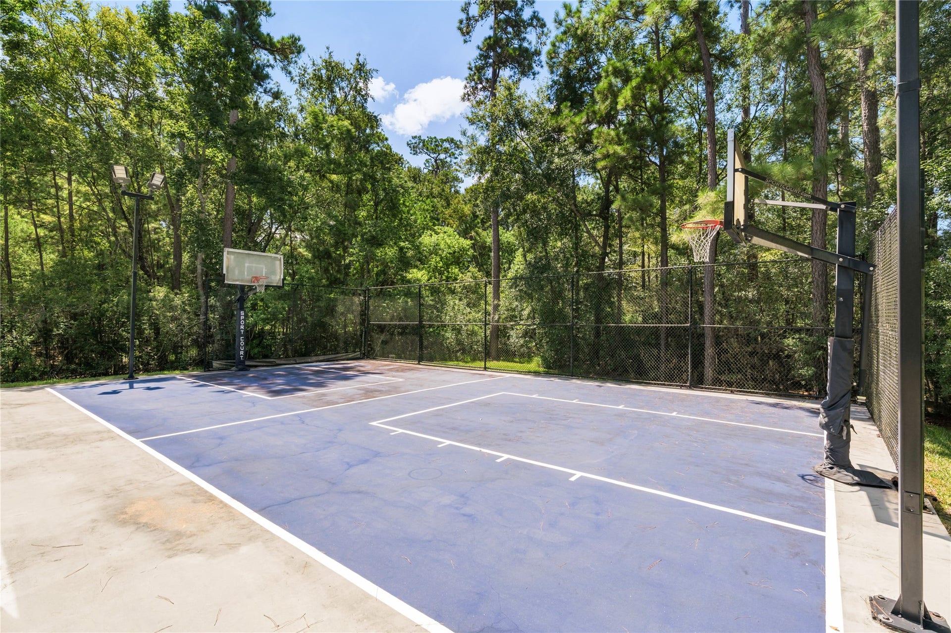 19 W Palmer Point, The Woodlands, TX 77381 Basketball Court