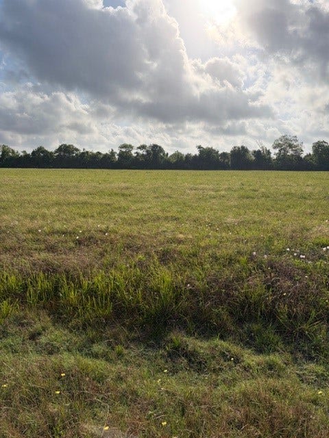 Property photo for 000 Brahman Trail, Angleton, TX