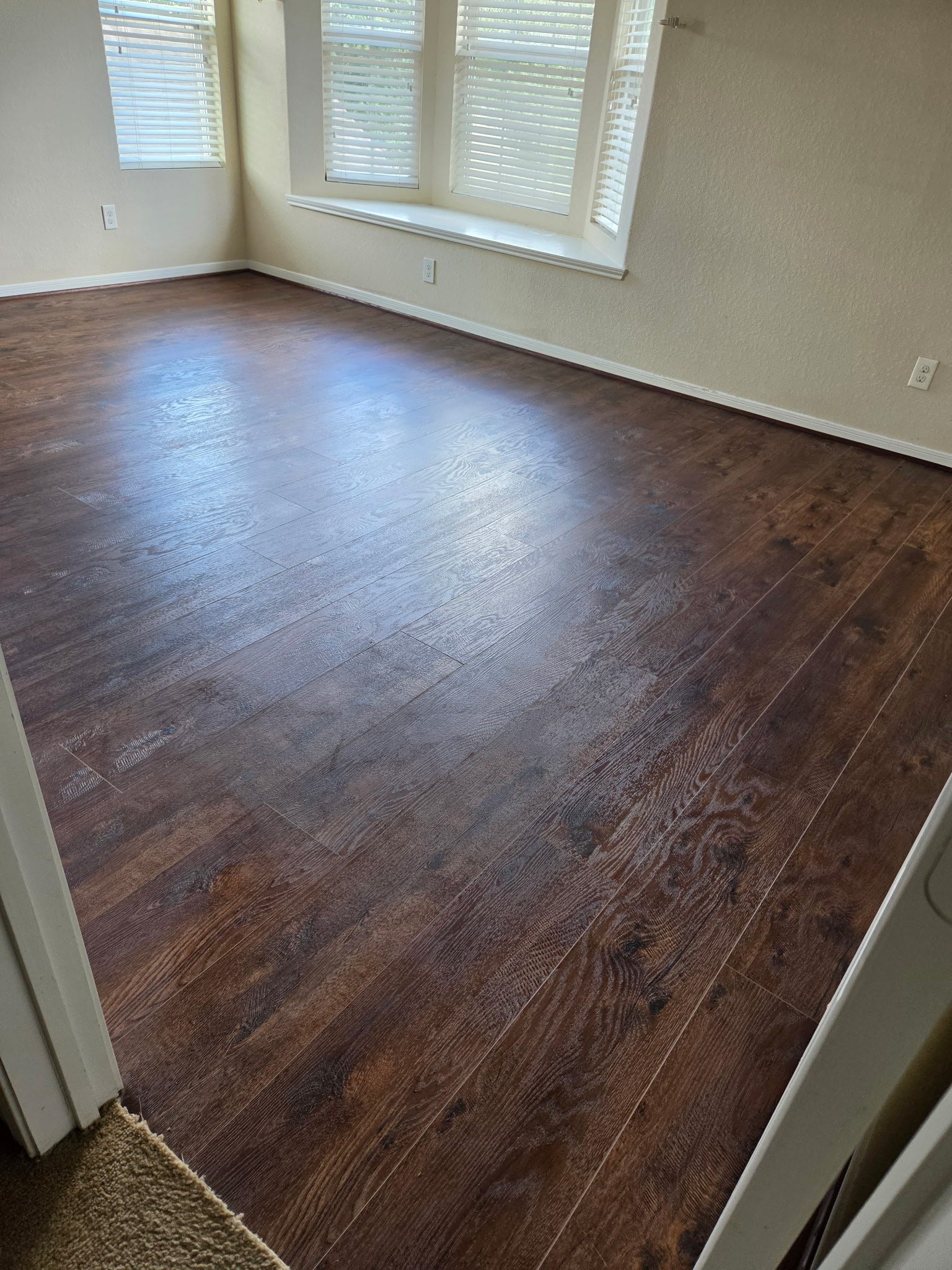 11507 Baldwin Spruce Trail, Tomball, TX 77375 11507 Baldwin Spruce Trail, Tomball, TX 77375